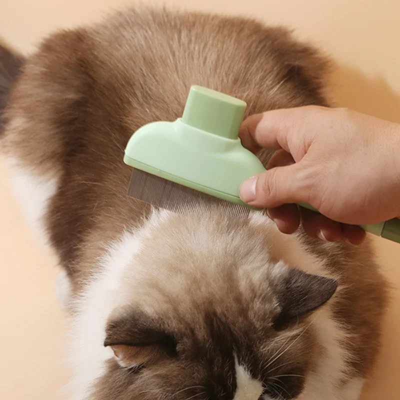Sisir Kucing Peliharaan Sikat  - Makeup Beauty Ro ulasan dan harga